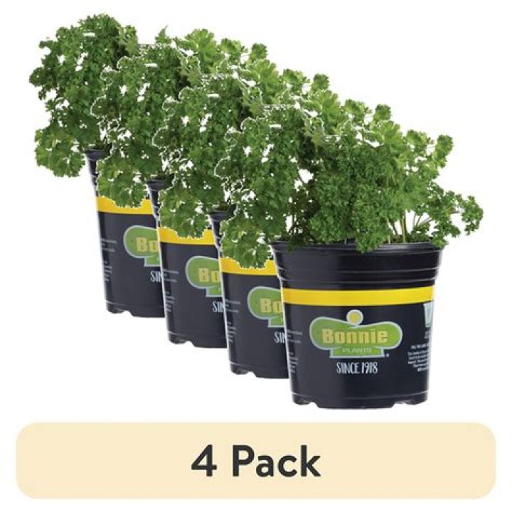 Are Bonnie Plants GMO free