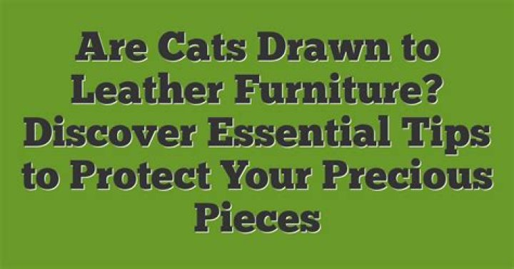 Are cats attracted to leather furniture?
