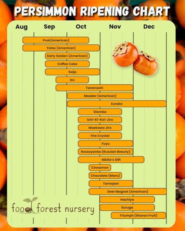 Are Fuyu persimmons astringent