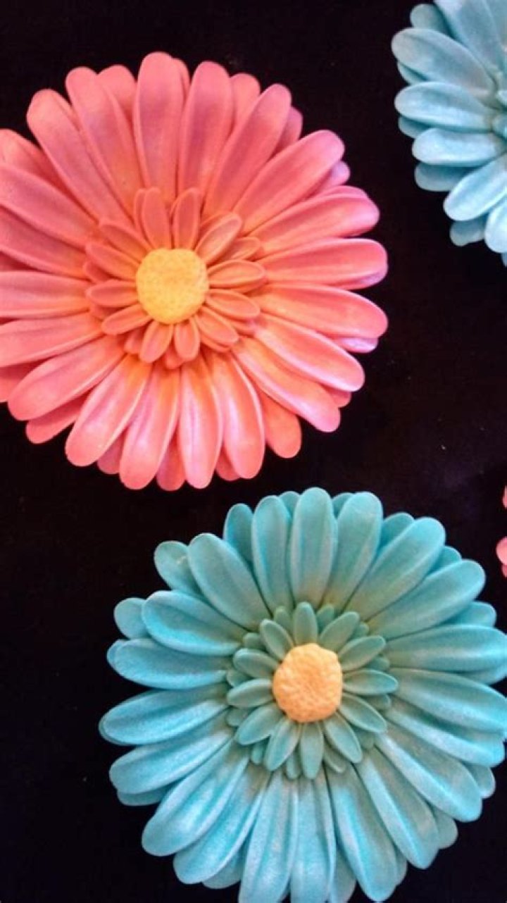 Are Gerber daisies edible