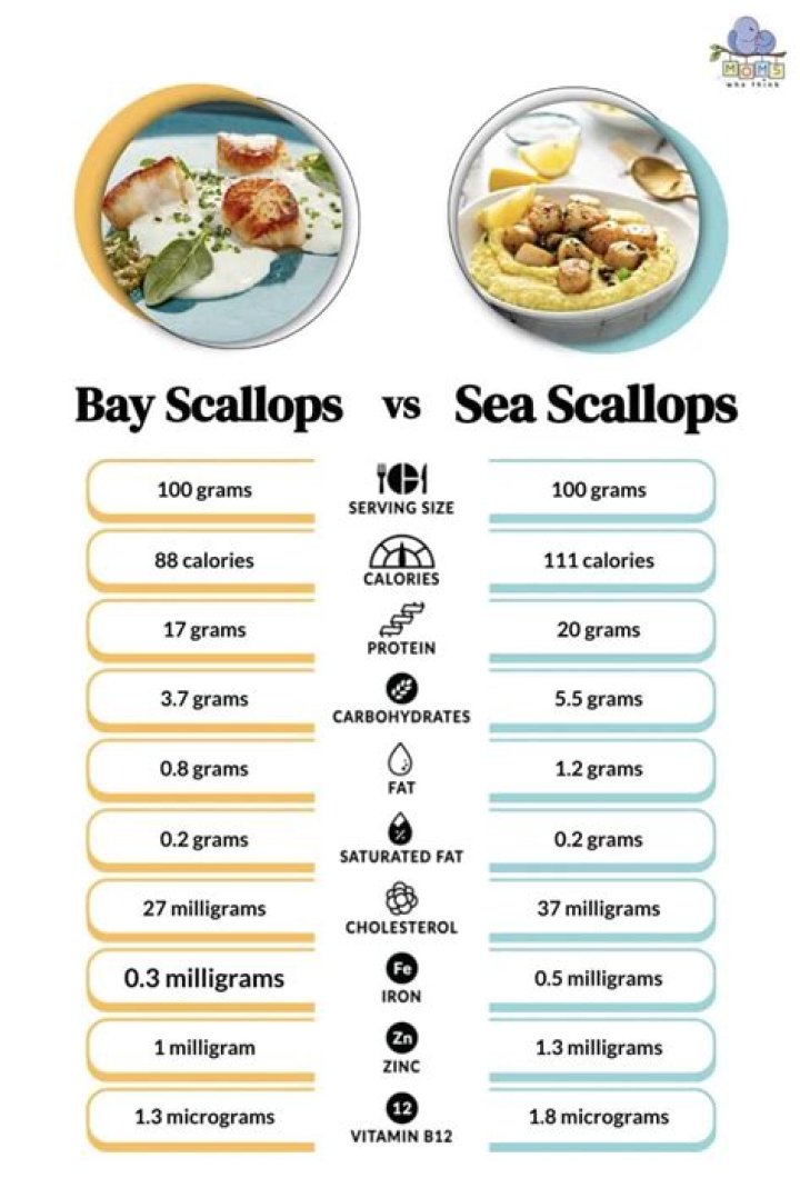Are sea scallops nutrition