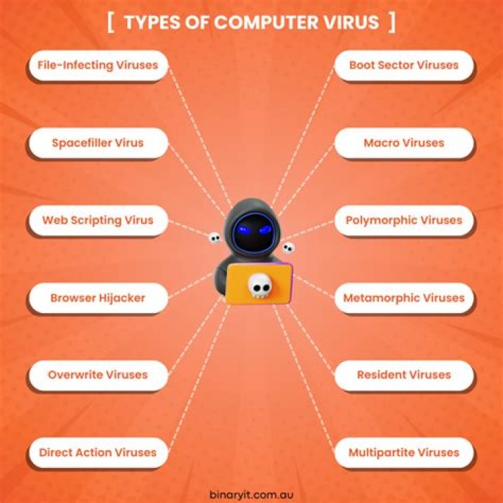 Are SWF files viruses?
