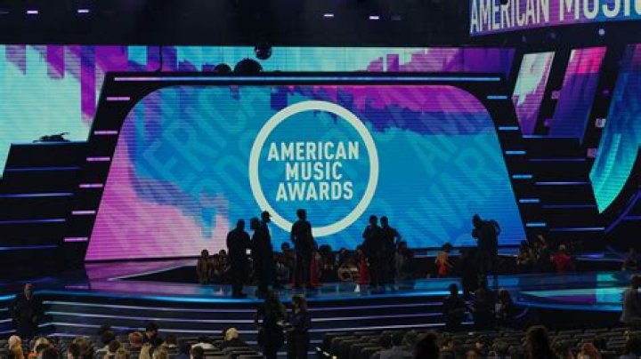 Are the AMAs fan voted