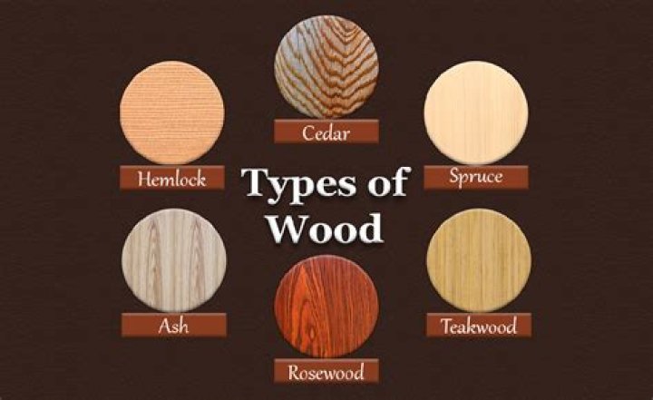 Are there cells in wood