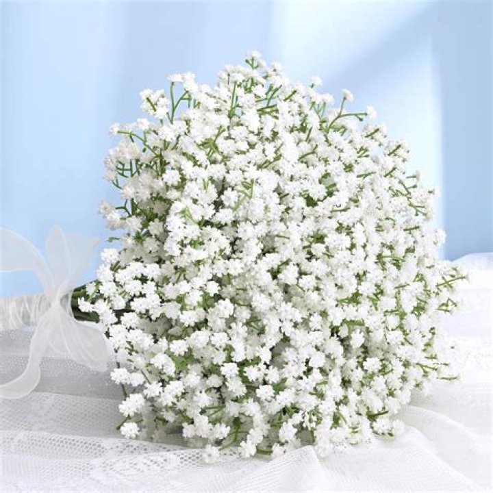 Can Babys Breath be used on cakes