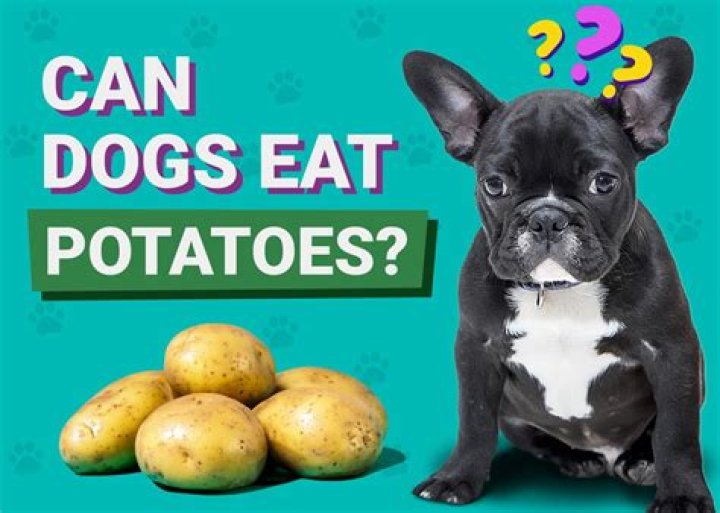 Can dogs eat potatoes UK