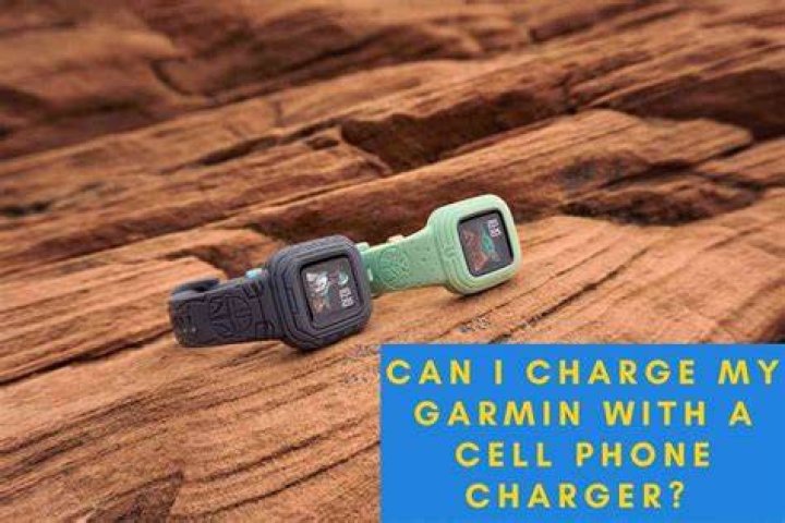 Can I charge my Garmin with a cell phone charger?