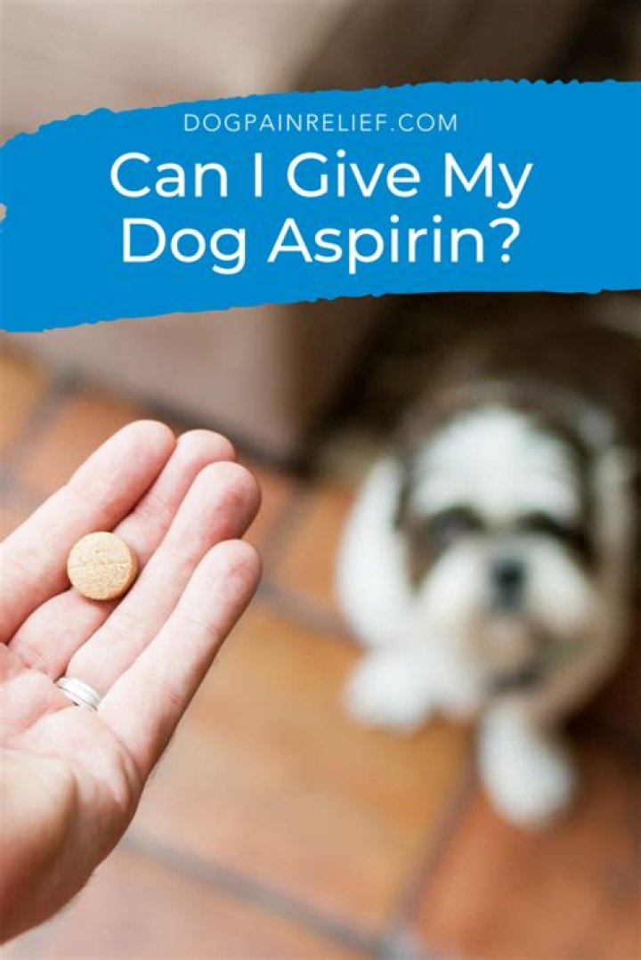 Can I give my dog Sulfameth trimethoprim