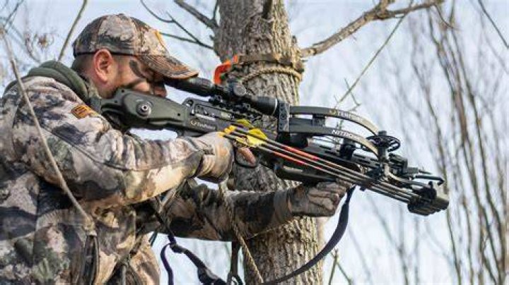 Can I hunt in Argentina?