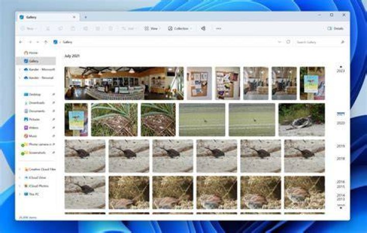 Can I still download Windows Live Photo Gallery?