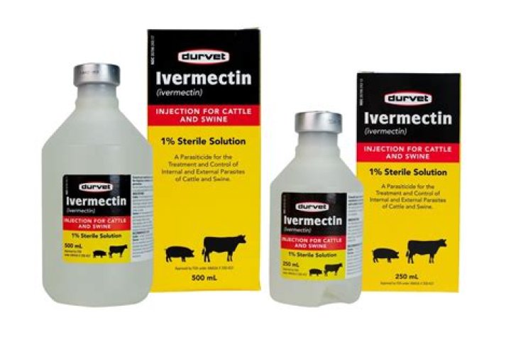 Can ivermectin be given orally to dogs