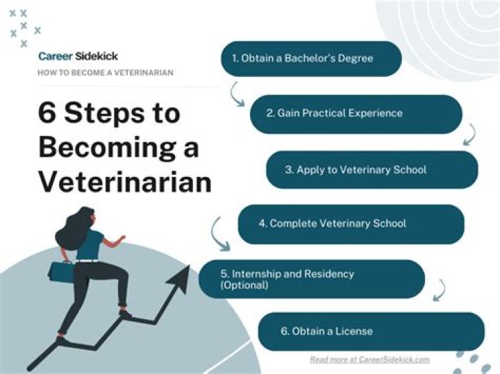 Can you become a vet in 6 years?