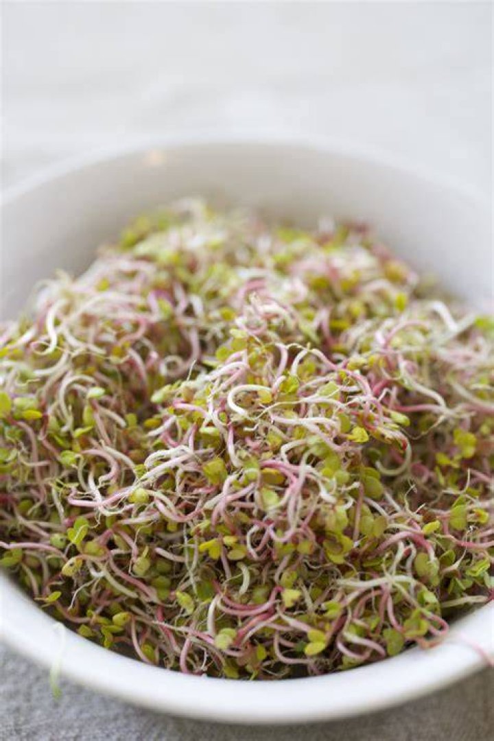 Can you regrow radish sprouts?