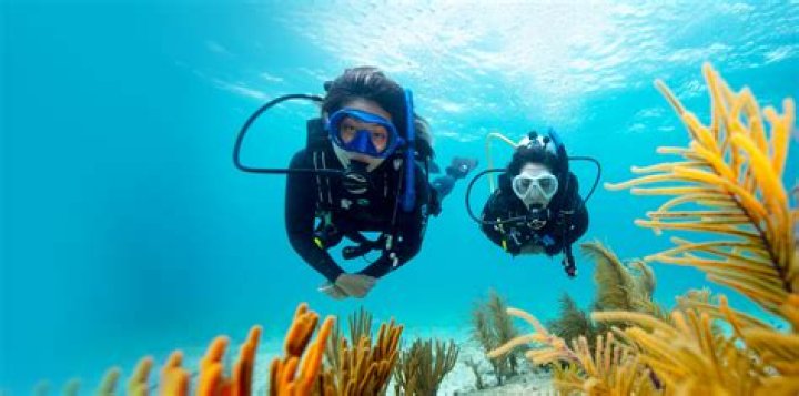Can you scuba dive at Disney World