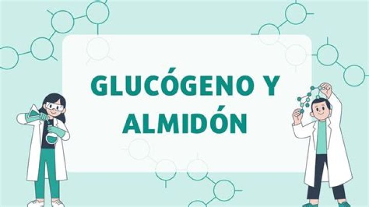 ¿Cuál es la diferencia entre el almidon y el glucogeno