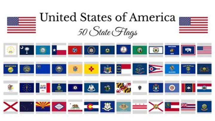Do all states have a state flag