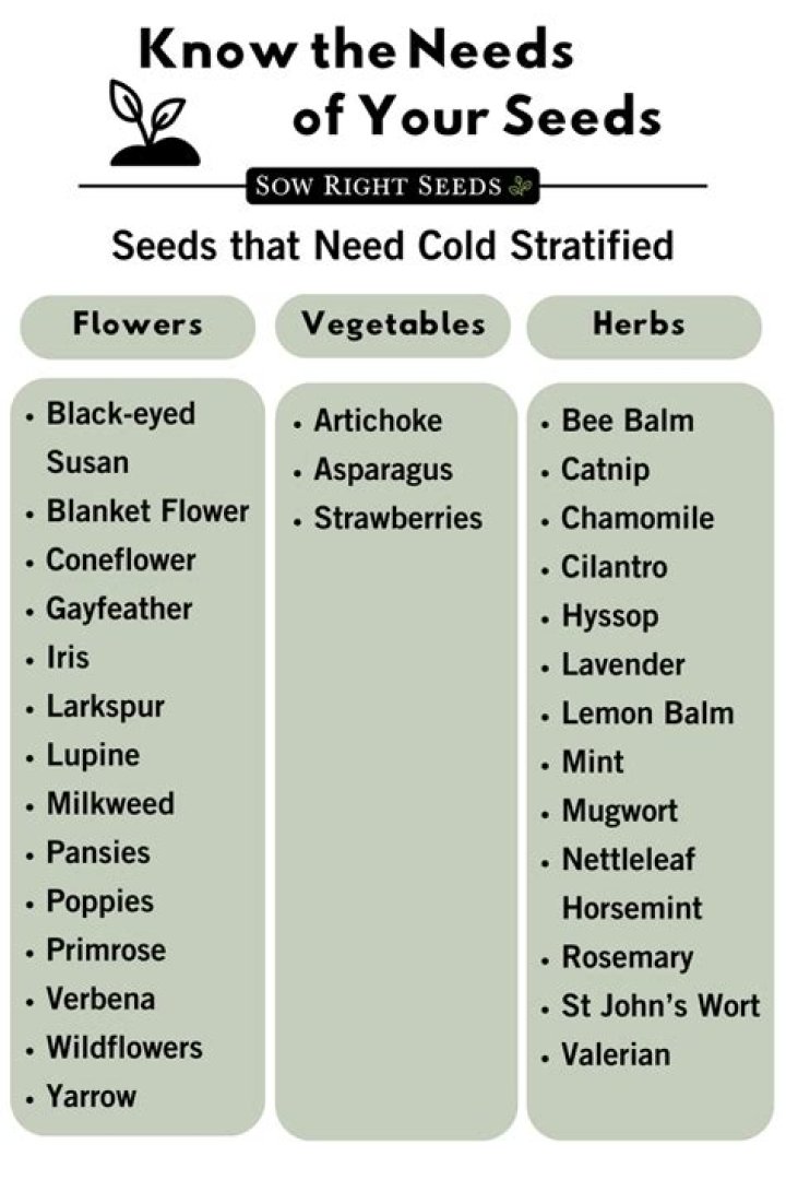 Do snapdragon seeds need stratification