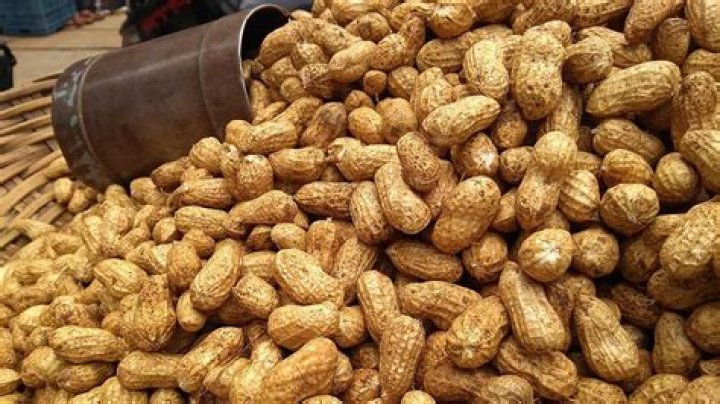 Do sparrows eat peanuts