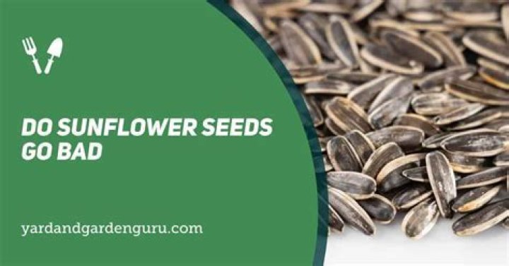 Do sunflower seeds go rancid