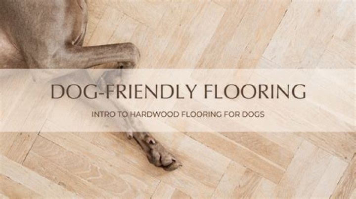 Does pet urine ruin laminate floors
