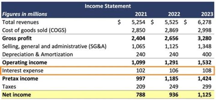 Does PIK interest go on the income statement?