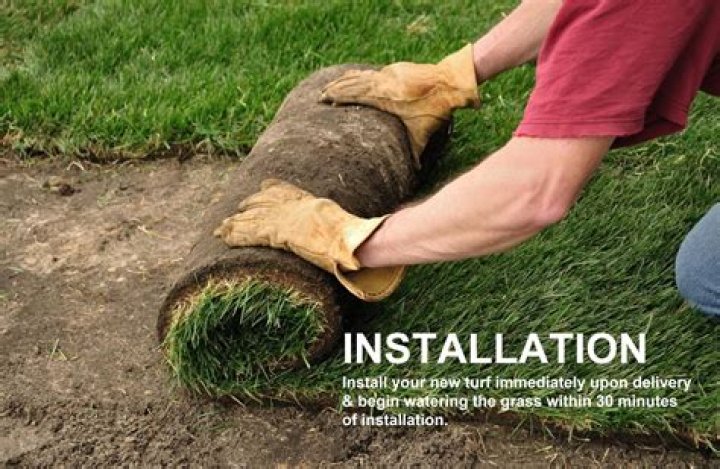 How big is a piece of Bermuda sod