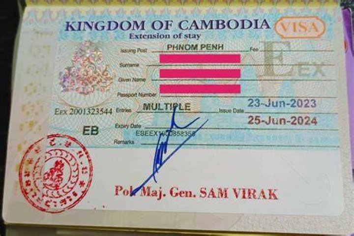 How can I check my Cambodia visa online?
