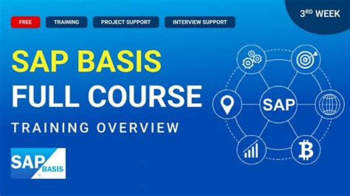 How do I become a SAP basis administrator?