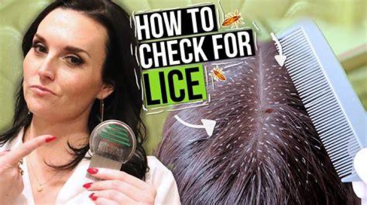 How do I check myself for lice?