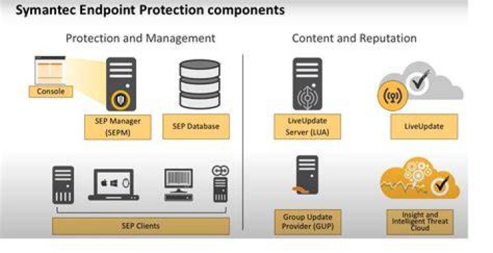 How do I enable EXE in Symantec Endpoint Protection?