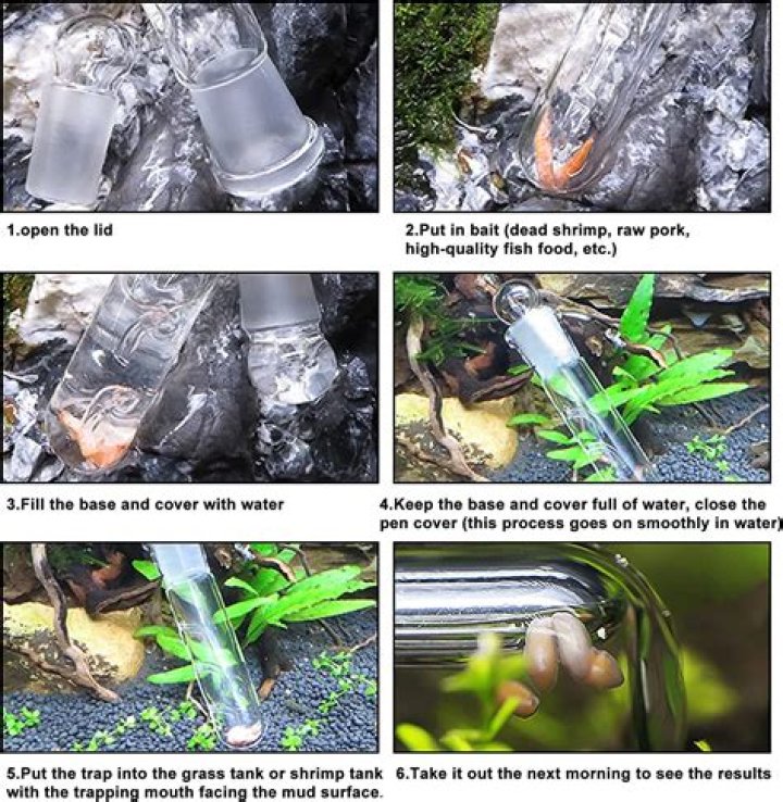 How do I get rid of water in my basement walls