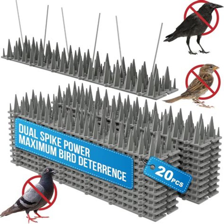 How do I keep birds away from my deer feeder