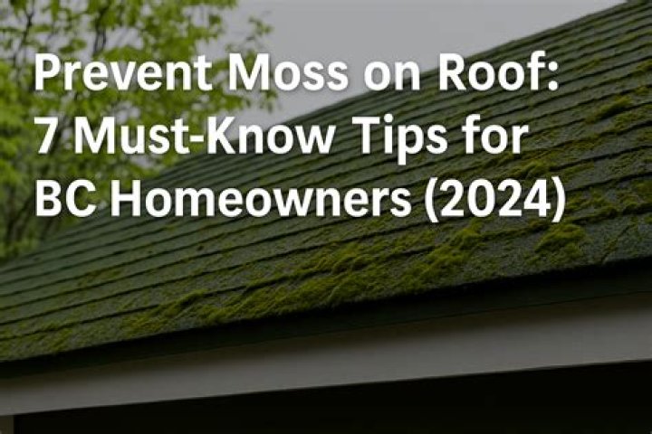 How do I prevent moss on my walls