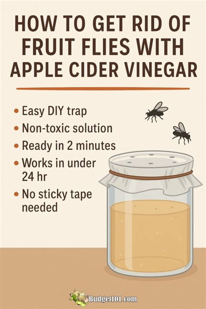 How do I use apple cider vinegar to kill fleas in my house