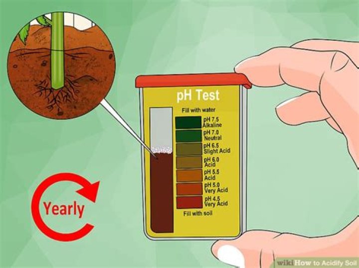 How do you acidify soil quickly?