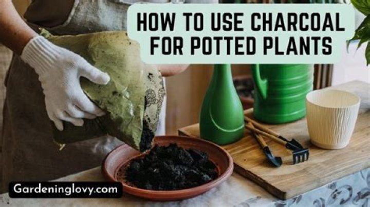 How do you add charcoal to soil
