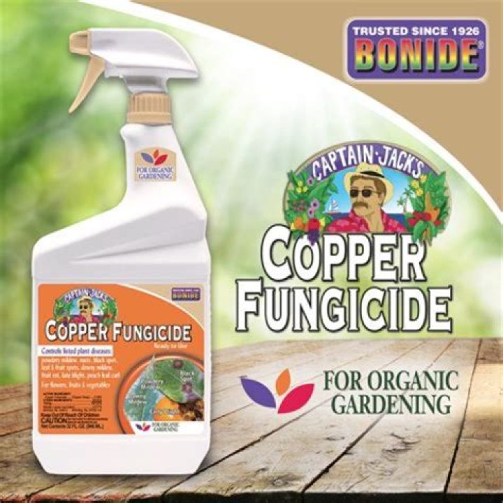 How do you apply copper fungicide to trees