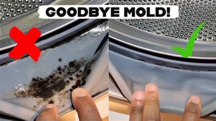 How do you get mildew out of a dishwasher