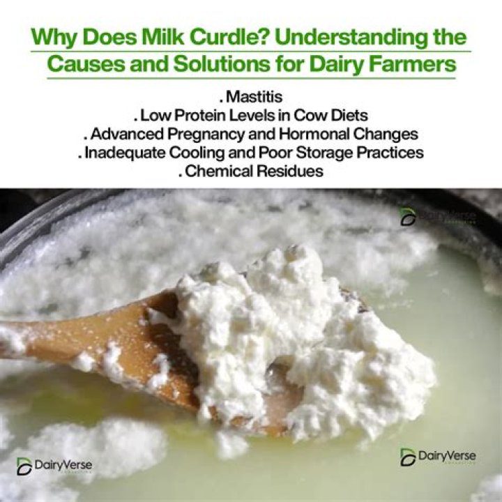 How do you know if milk is curdled