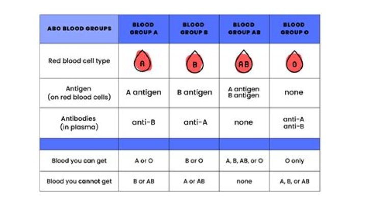 How do you make simulated blood for blood typing
