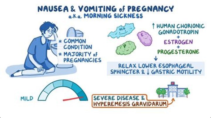 How do you manage nausea and vomiting in palliative care?