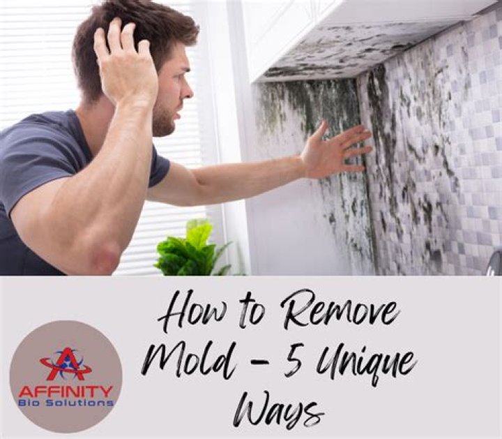 How do you remove mold from a mobile home ceiling