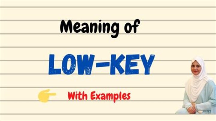 How do you use lowkey in a sentence?