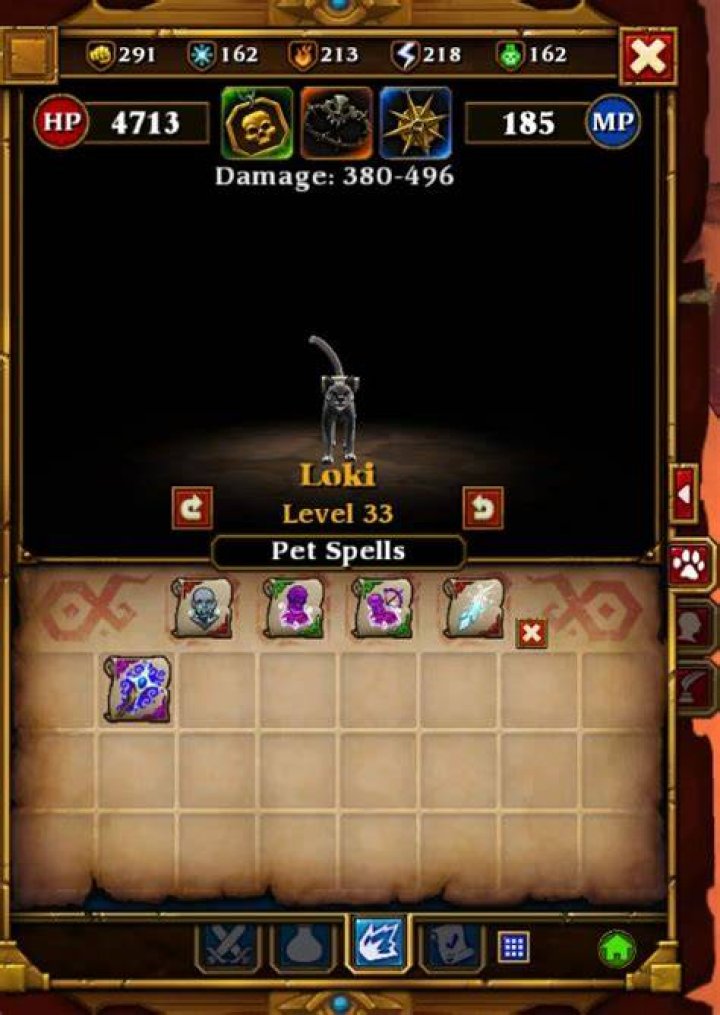 How do you use pet spells in Torchlight 2?