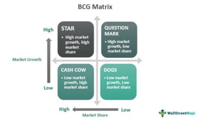 How do you use the BCG matrix