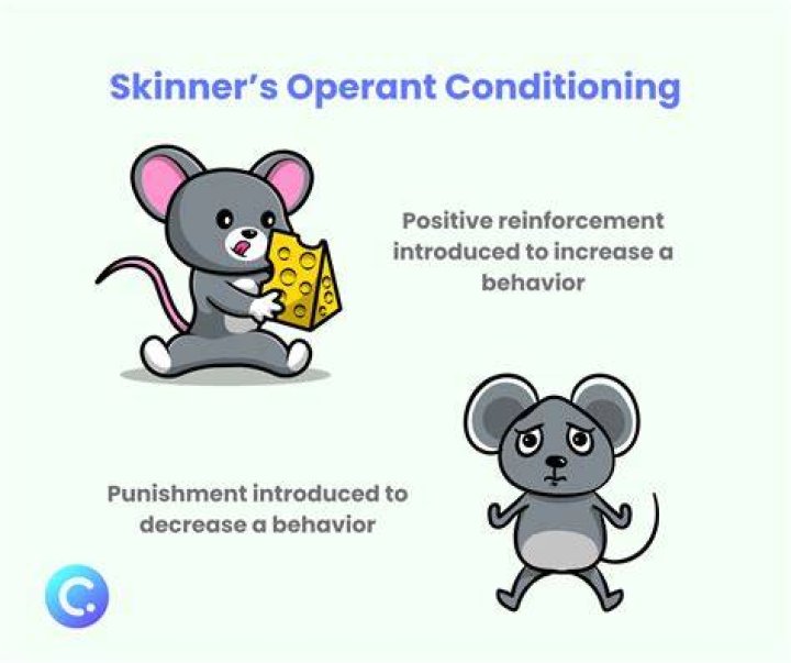 How does a Skinner box work in operant conditioning