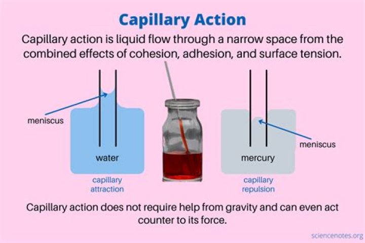 How does density affect capillary action