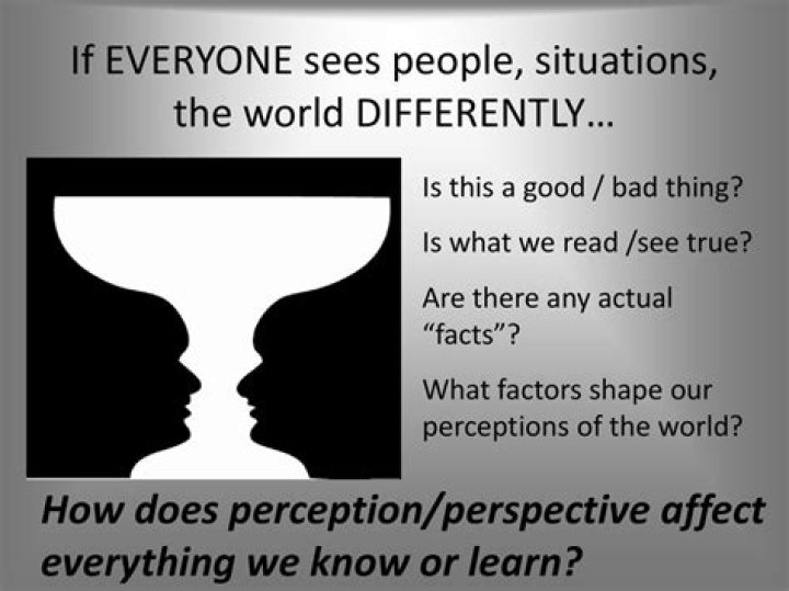 How does Don Quixote perception of reality affect other characters