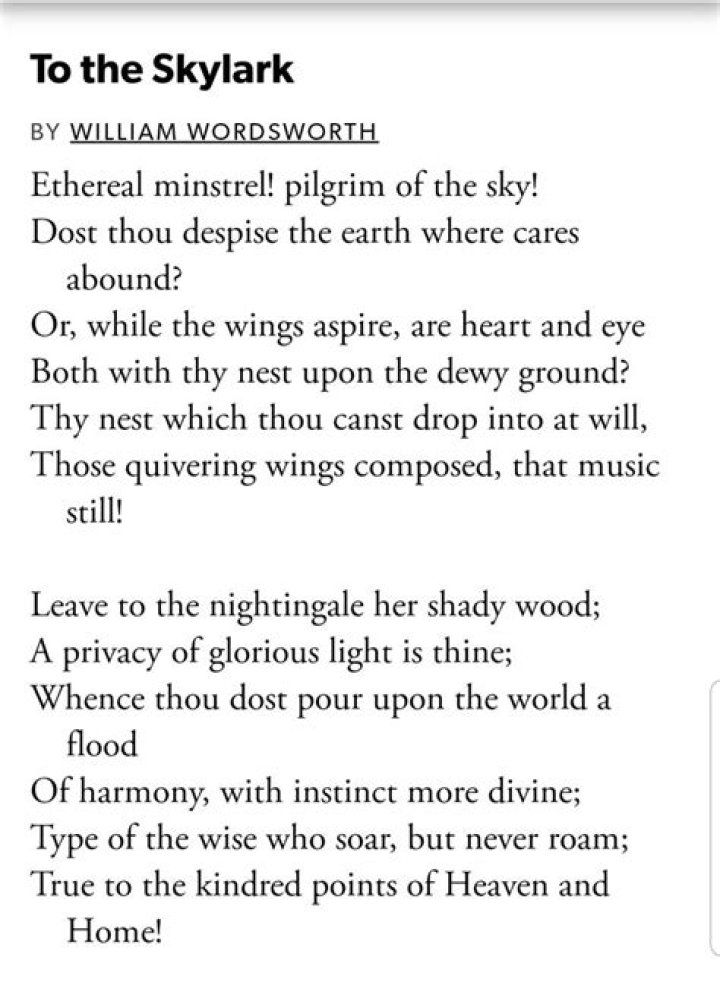 How does the poet address the Skylark in the poem To a Skylark