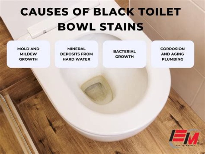 How high can you get a toilet
